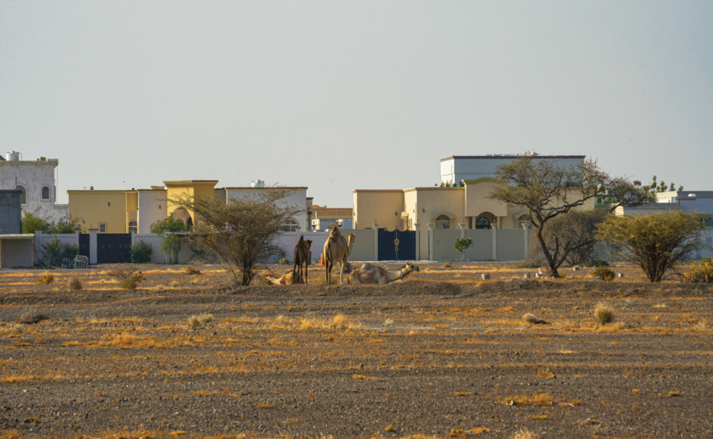 Featured Property Image