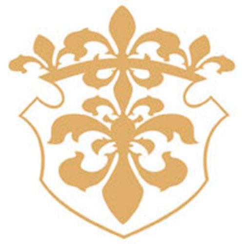 Aces Property Development Logo