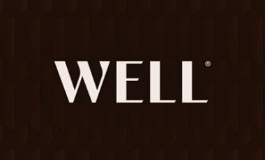 WELL CONCEPT Development Logo